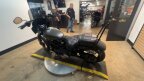 Thumbnail Photo 1 for 2019 Harley-Davidson Softail Street Bob