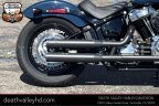 Thumbnail Photo 1 for 2019 Harley-Davidson Softail Slim