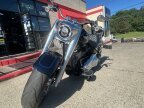 Thumbnail Photo 1 for 2019 Harley-Davidson Softail