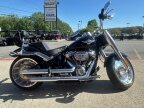 Thumbnail Photo 3 for 2019 Harley-Davidson Softail