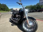 Thumbnail Photo 2 for 2019 Harley-Davidson Softail