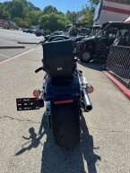Thumbnail Photo 4 for 2019 Harley-Davidson Softail