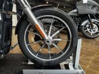 Thumbnail Photo 1 for 2019 Harley-Davidson Softail Low Rider