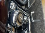 Thumbnail Photo 3 for 2019 Harley-Davidson Softail Low Rider