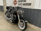 Thumbnail Photo 1 for 2019 Harley-Davidson Softail Deluxe