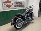 Thumbnail Photo 3 for 2019 Harley-Davidson Softail Deluxe