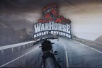 Thumbnail Photo 2 for 2019 Harley-Davidson Softail FXDR 114