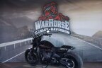 Thumbnail Photo 3 for 2019 Harley-Davidson Softail FXDR 114
