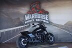 Thumbnail Photo 1 for 2019 Harley-Davidson Softail FXDR 114