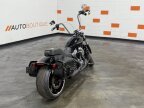 Thumbnail Photo 2 for 2019 Harley-Davidson Softail