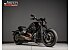 2019 Harley-Davidson Softail FXDR 114