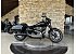 2019 Harley-Davidson Softail