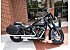 2019 Harley-Davidson Softail