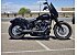 2019 Harley-Davidson Softail