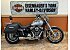 2019 Harley-Davidson Softail Low Rider
