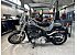 2019 Harley-Davidson Softail Low Rider