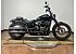 2019 Harley-Davidson Softail