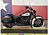2019 Harley-Davidson Softail