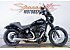 2019 Harley-Davidson Softail