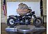 2019 Harley-Davidson Softail