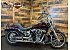2019 Harley-Davidson Softail Low Rider