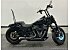 2019 Harley-Davidson Softail