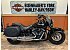 2019 Harley-Davidson Softail Heritage Classic 114
