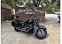 2019 Harley-Davidson Softail