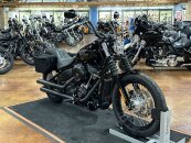2019 Harley-Davidson Softail