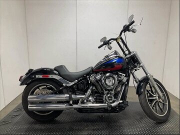 2019 Harley-Davidson Softail