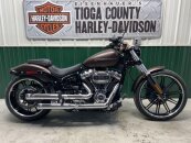 2019 Harley-Davidson Softail Breakout 114