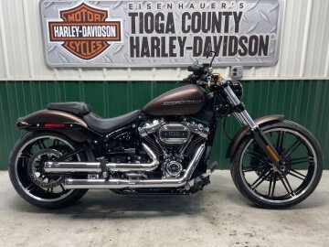 2019 Harley-Davidson Softail Breakout 114