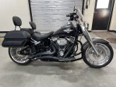 2019 Harley-Davidson Softail