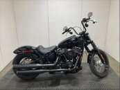 2019 Harley-Davidson Softail