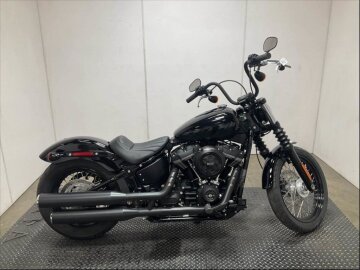 2019 Harley-Davidson Softail
