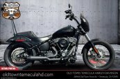 2019 Harley-Davidson Softail