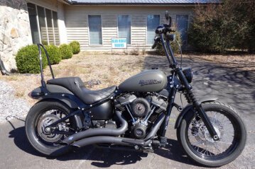 2019 Harley-Davidson Softail Street Bob