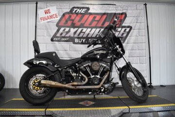 2019 Harley-Davidson Softail