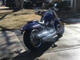 2019 Harley-Davidson Softail Fat Boy 114