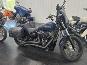 2019 Harley-Davidson Softail