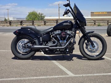 2019 Harley-Davidson Softail