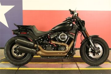 2019 Harley-Davidson Softail