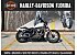 2019 Harley-Davidson Sportster Iron 1200