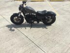 Thumbnail Photo 3 for New 2019 Harley-Davidson Sportster