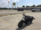 Thumbnail Photo 4 for New 2019 Harley-Davidson Sportster