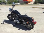 Thumbnail Photo 2 for 2019 Harley-Davidson Sportster
