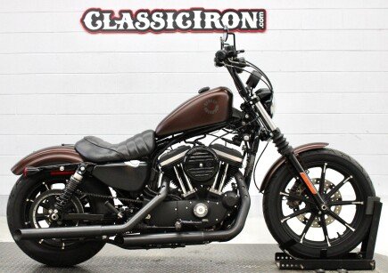 Photo 1 for 2019 Harley-Davidson Sportster Iron 883