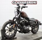 Thumbnail Photo 2 for 2019 Harley-Davidson Sportster Iron 883