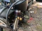 Thumbnail Photo 3 for 2019 Harley-Davidson Sportster