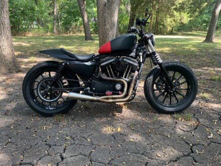 Photo 1 for 2019 Harley-Davidson Sportster